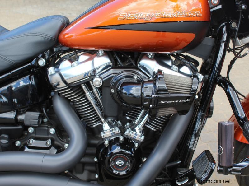 2019 Harley-Davidson Fatboy 114 Custom pictures