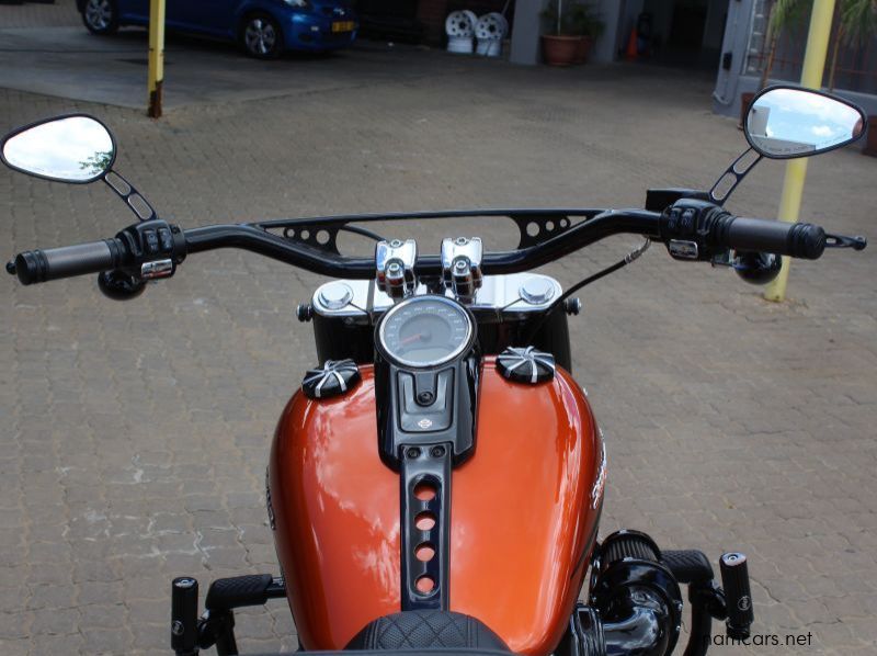 2019 Harley-Davidson Fatboy 114 Custom pictures