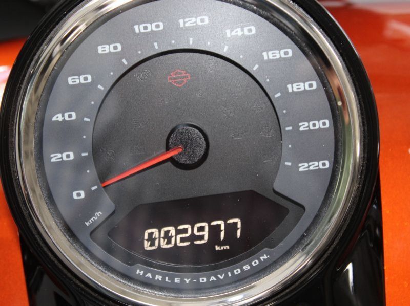 2019 Harley-Davidson Fatboy 114 Custom pictures